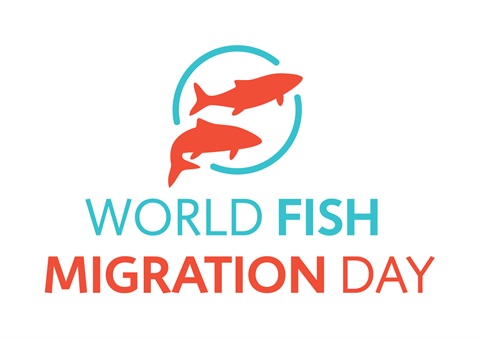 Fish Migration Day.jpg