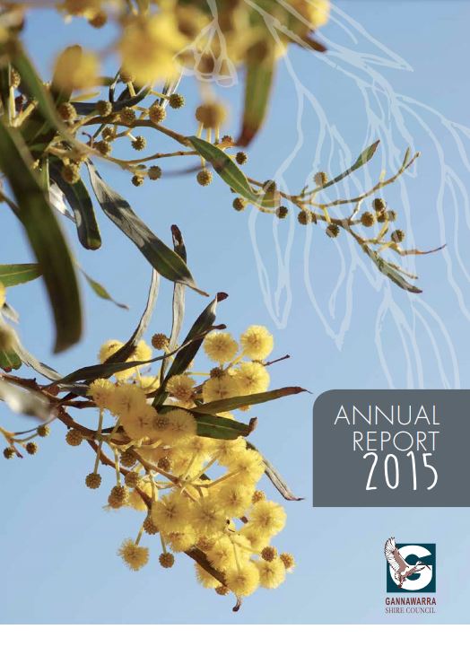 2015-annual-report.jpg