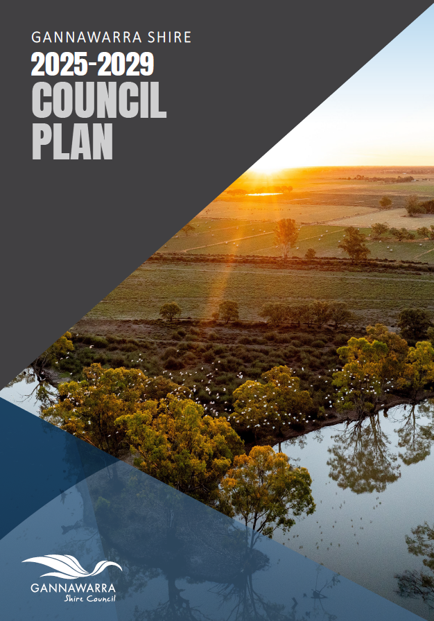 2025-2029 Council Plan.png