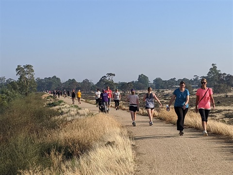 parkrun.jpg