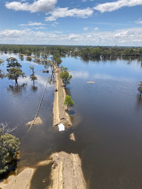 11.11.2022_Kerang West levee_2.jpeg