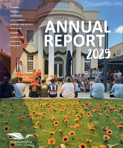 2025 Annual Report.png