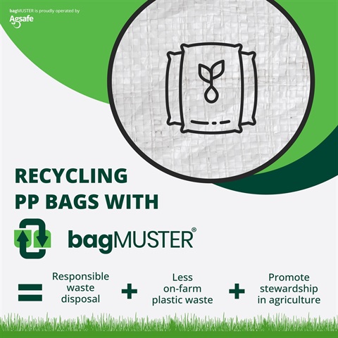 bagMUSTER_social media-01.jpg