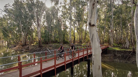 Cycling_Gunbower Island.jpg