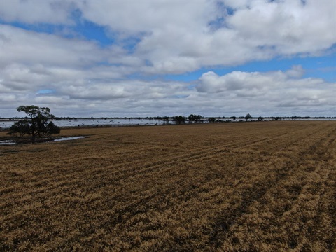DJI_0560.JPG