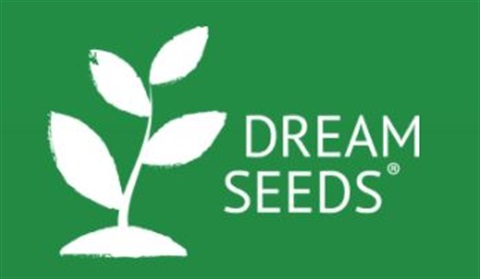 Dream Seeds.JPG