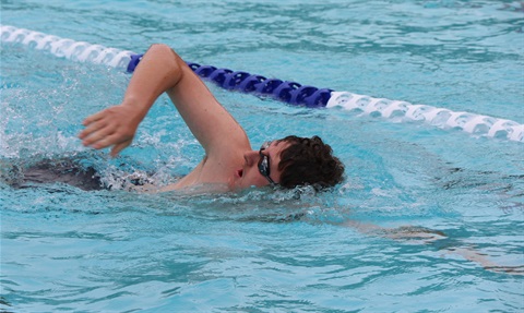 Kerang swimming 2.jpg