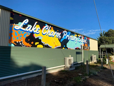 Lake Charm Primary School Mural .jpg