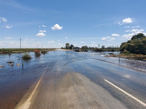 P31. Wandella Creek crossing MV Hwy 2022.jpg