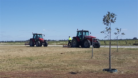 roadside slashing.jpg