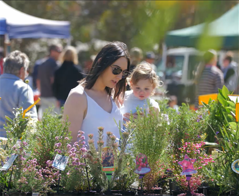 TVC_Plant shopping.png